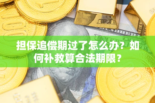 北京担保追偿期过了怎么办？如何补救算合法期限？