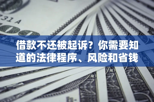 北京借款不还被起诉？你需要知道的法律程序、风险和省钱技巧